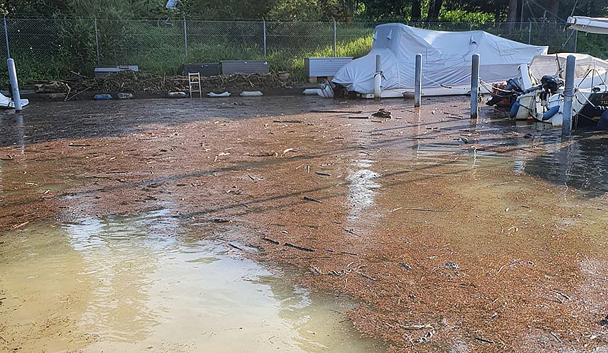 Schwemmgutaufnahmen Schwemmgutaufnahmen