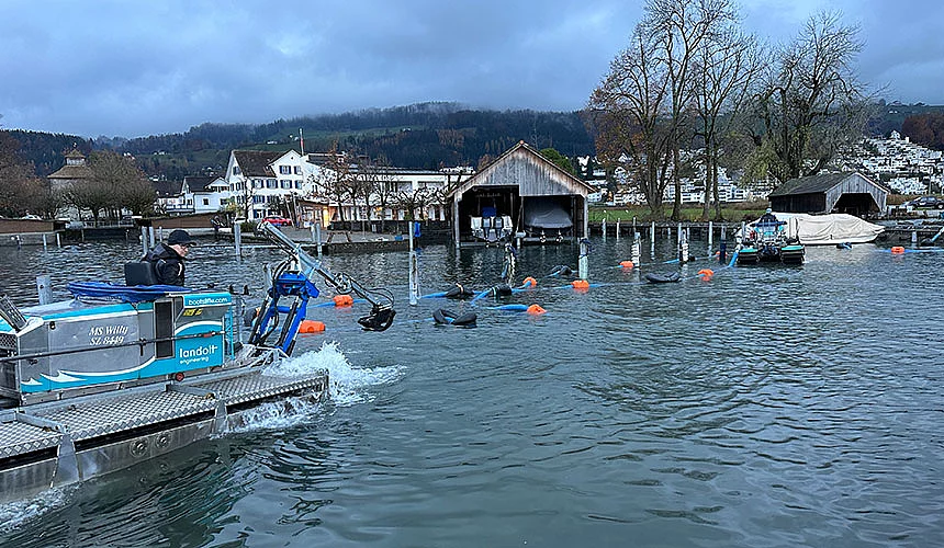 Schlammsaugen Schlammsaugen