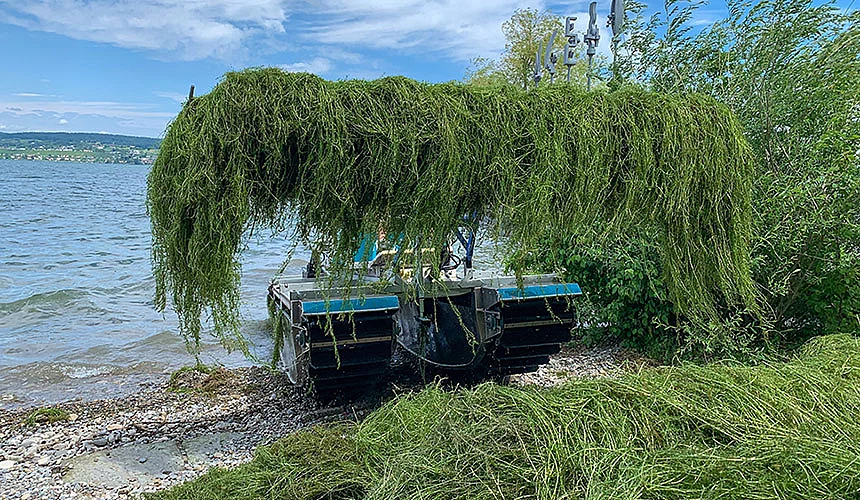 Schwemmgutaufnahmen Schwemmgutaufnahmen