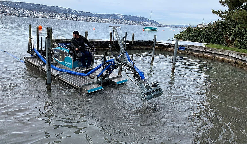 Schlammsaugen Schlammsaugen