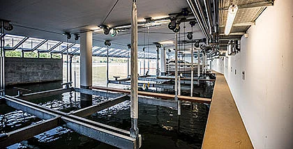 Hydraulik Bootslifte