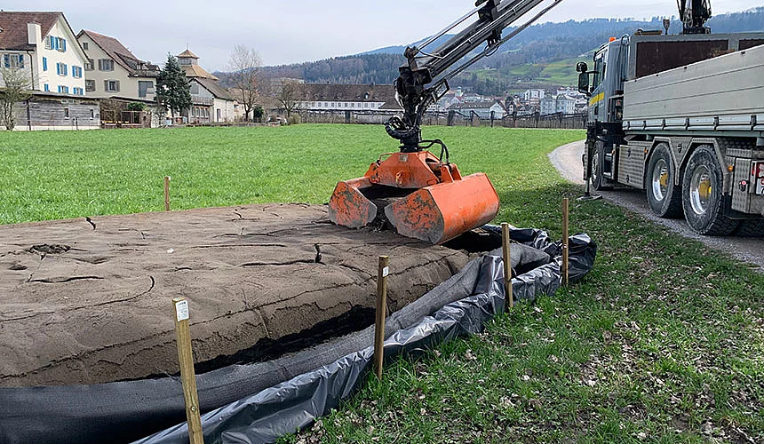 Schlammsaugen Schlammsaugen